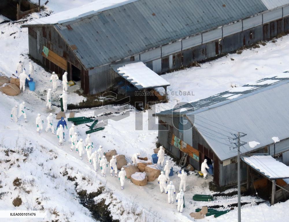 Highly pathogenic bird flu confirmed in Hokkaido
