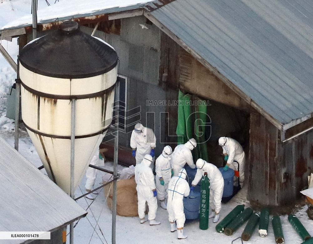Highly pathogenic bird flu confirmed in Hokkaido