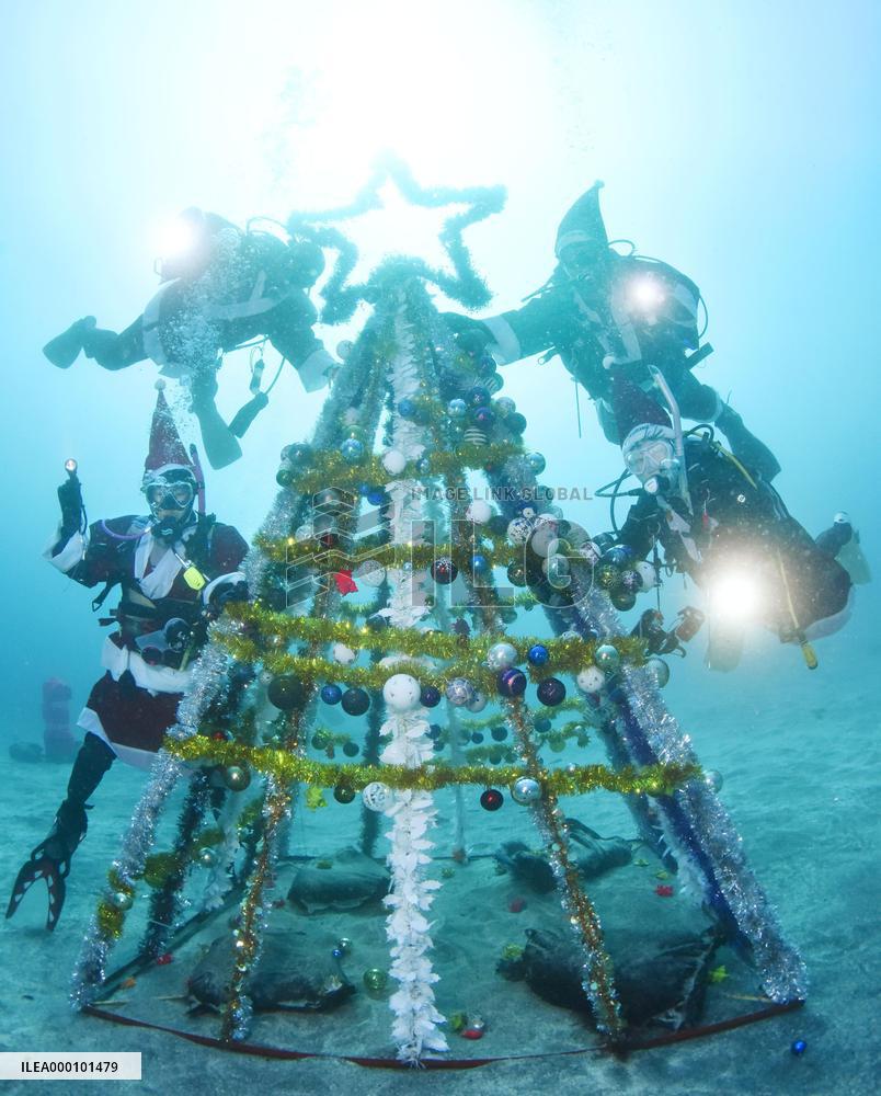 Divers enjoy Christmas in waters