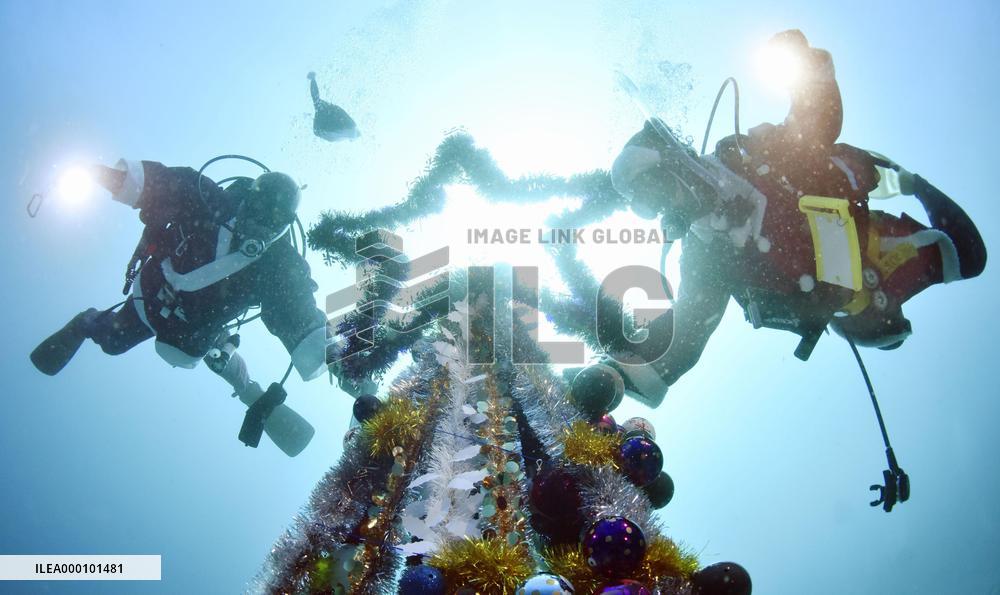 Divers enjoy Christmas in waters