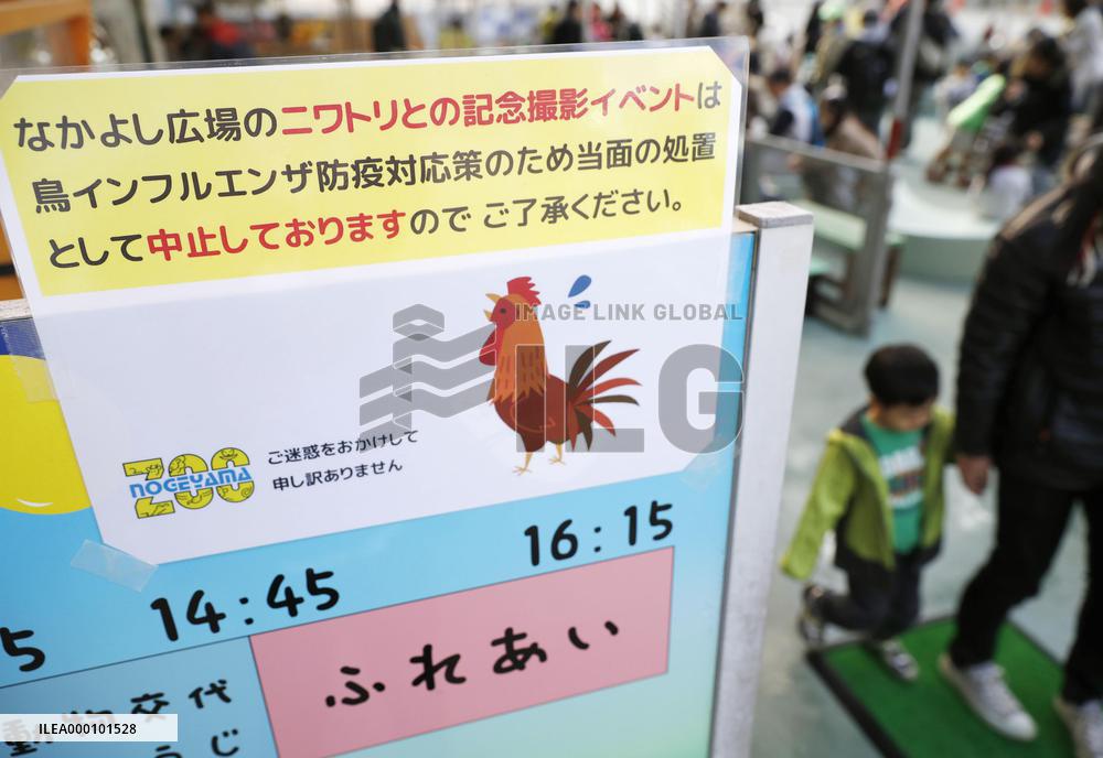 Bird flu outbreak hits zoo events linked to Year of Rooster in Japan