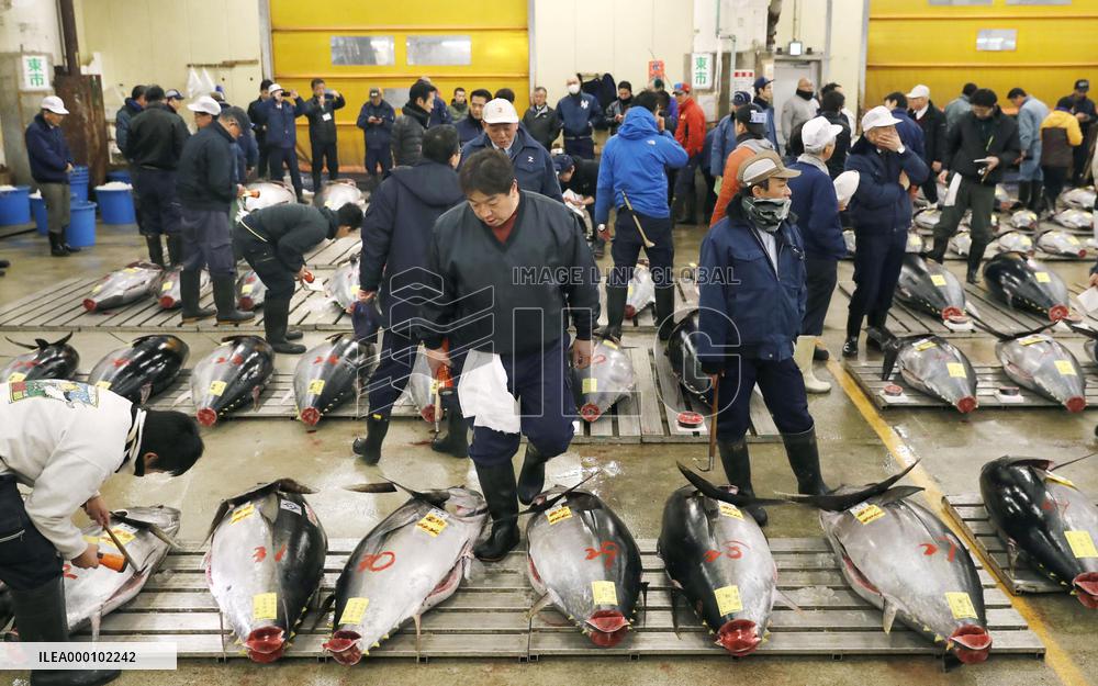 Tuna fetches 74 mil. yen at possible final Tsukiji New Year's auction