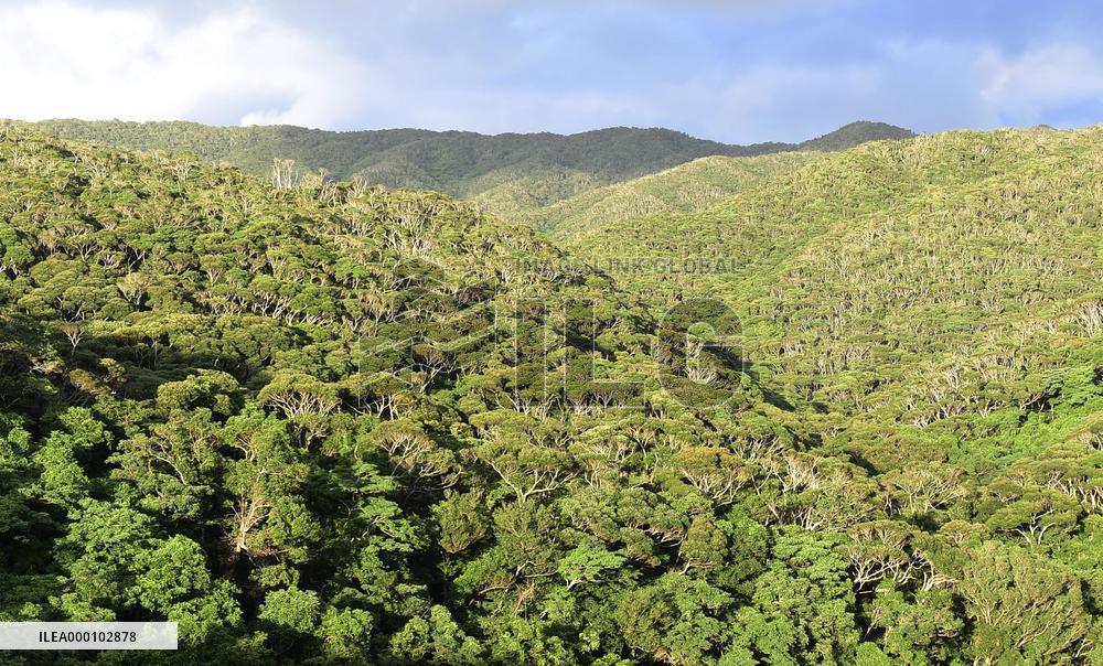 Japan to bid for UNESCO listing of remote islands, Christian sites