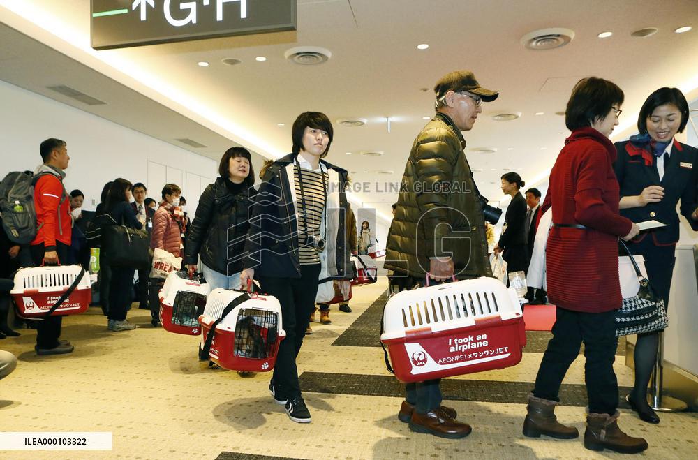 Dogs allowed to fly in cabin with their owners on JAL tour