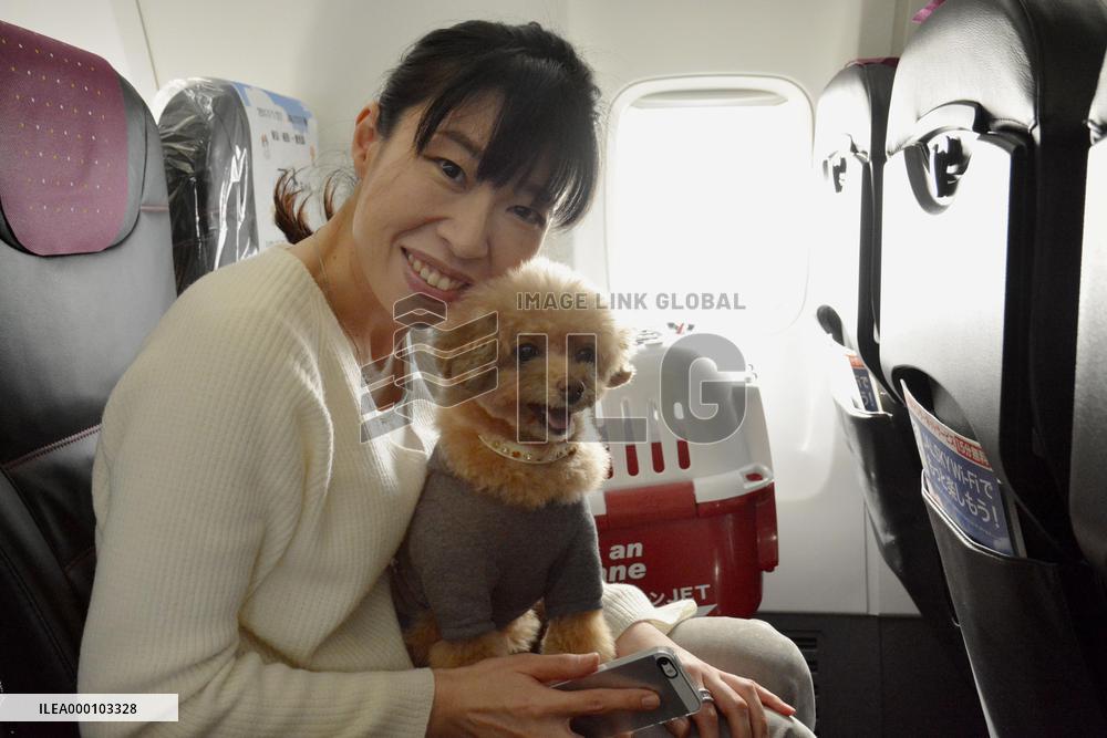 Dogs allowed to fly in cabin with their owners on JAL tour