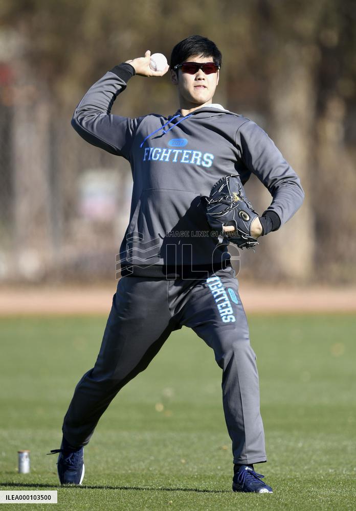 Baseball: Otani training in Arizona