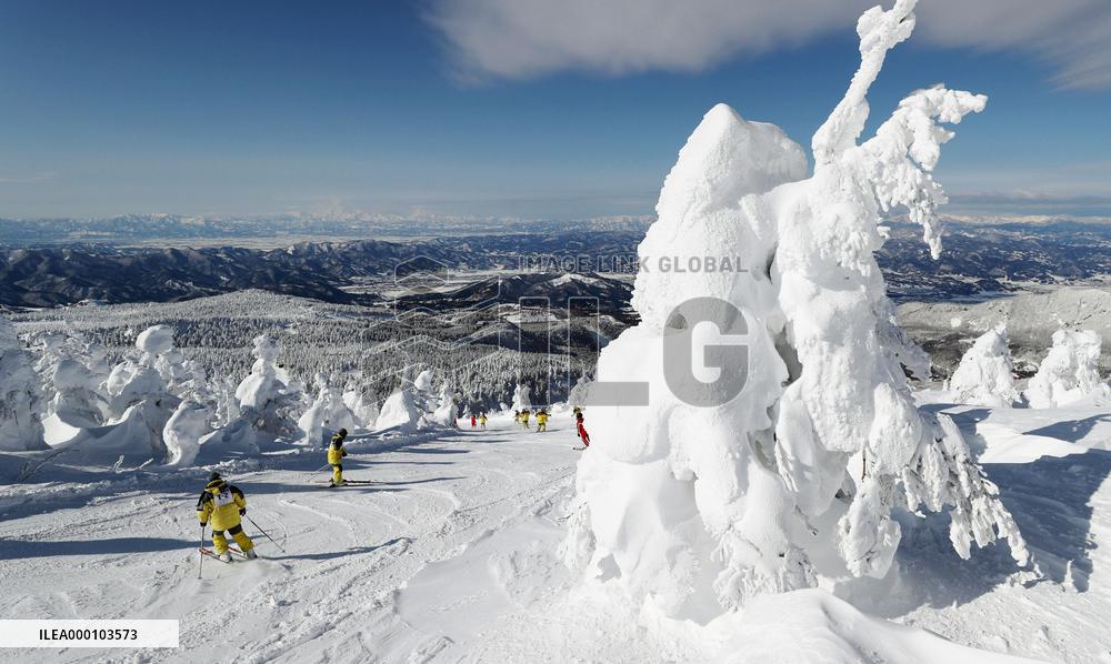 "Ice monsters" in Yamagata ski resort