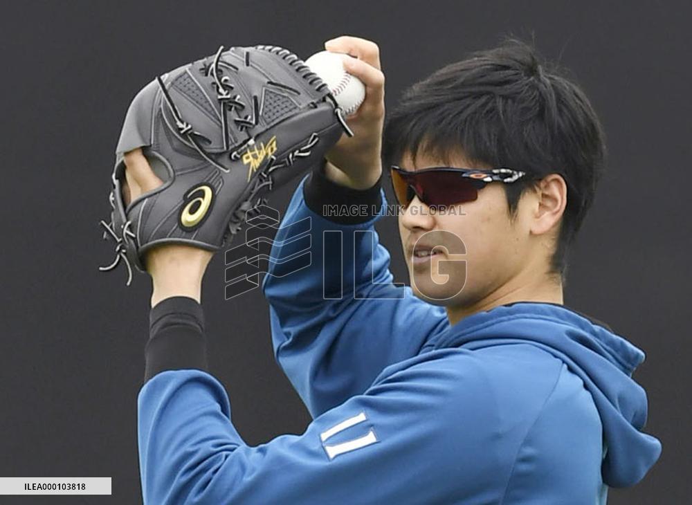 Baseball: Injury-hit star Otani in Arizona