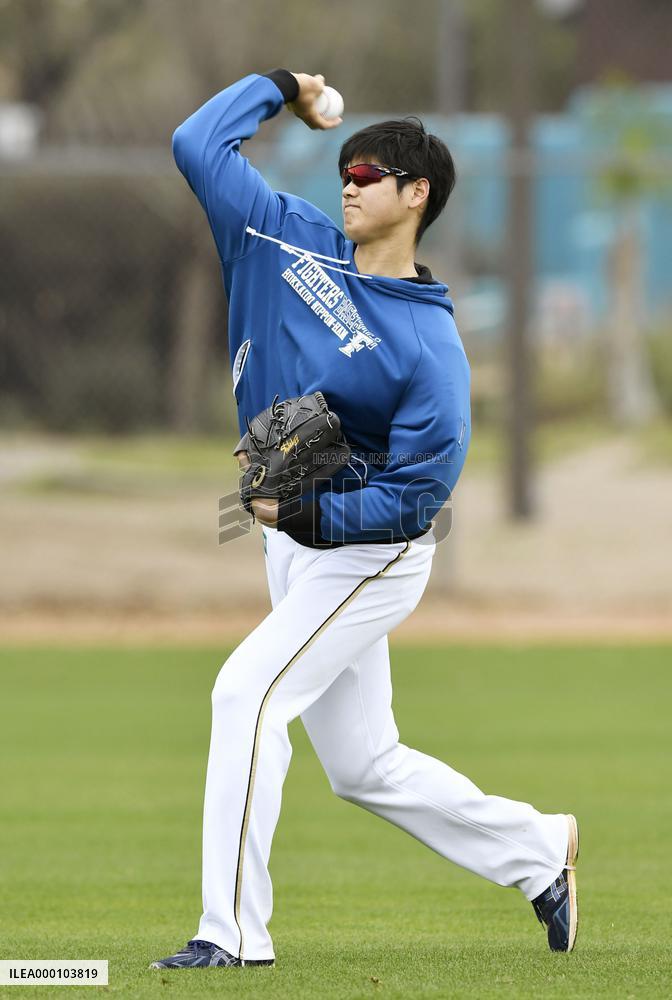 Baseball: Injury-hit star Otani in Arizona