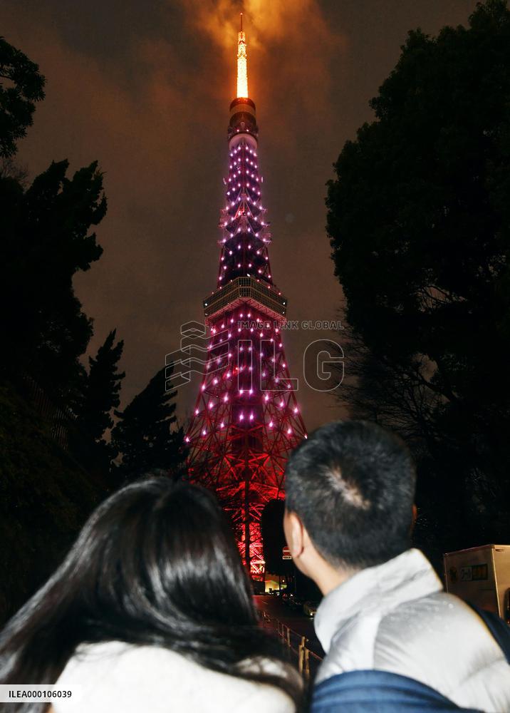 Cherry blossom blooms in Tokyo