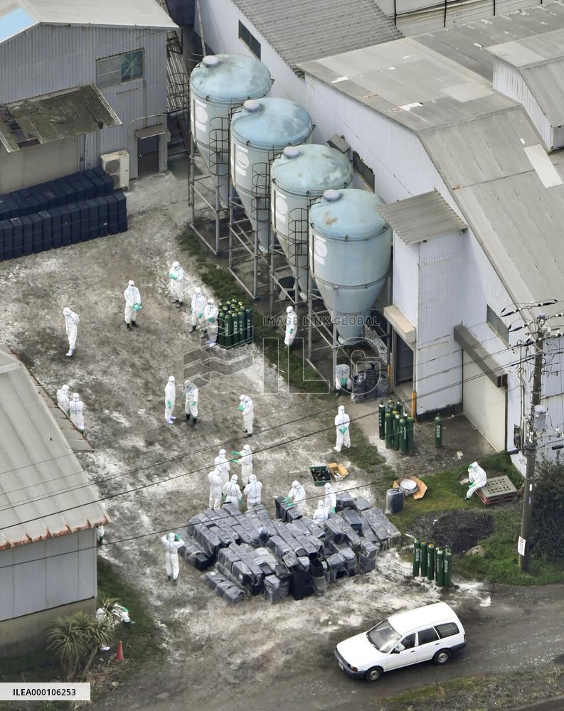 Bird flu detected at Chiba poultry farm