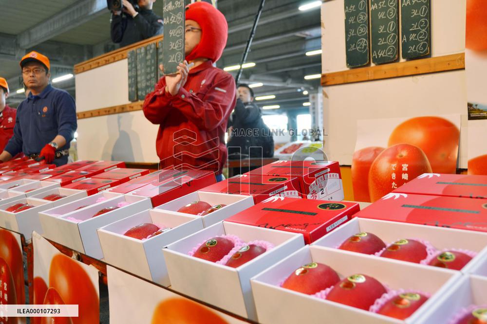 Miyazaki mangoes fetch 400,000 yen at year's 1st auction