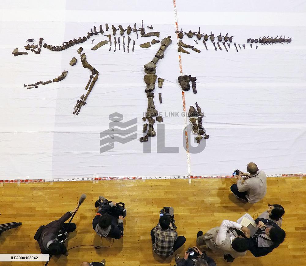 Researchers unearth Japan's largest fossilized dinosaur skeleton