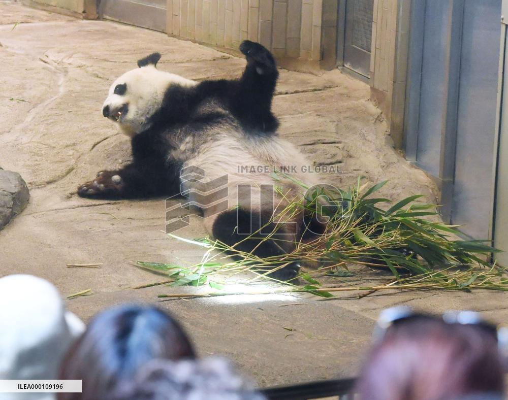 Tokyo zoo to remove panda with signs of pregnancy from public display