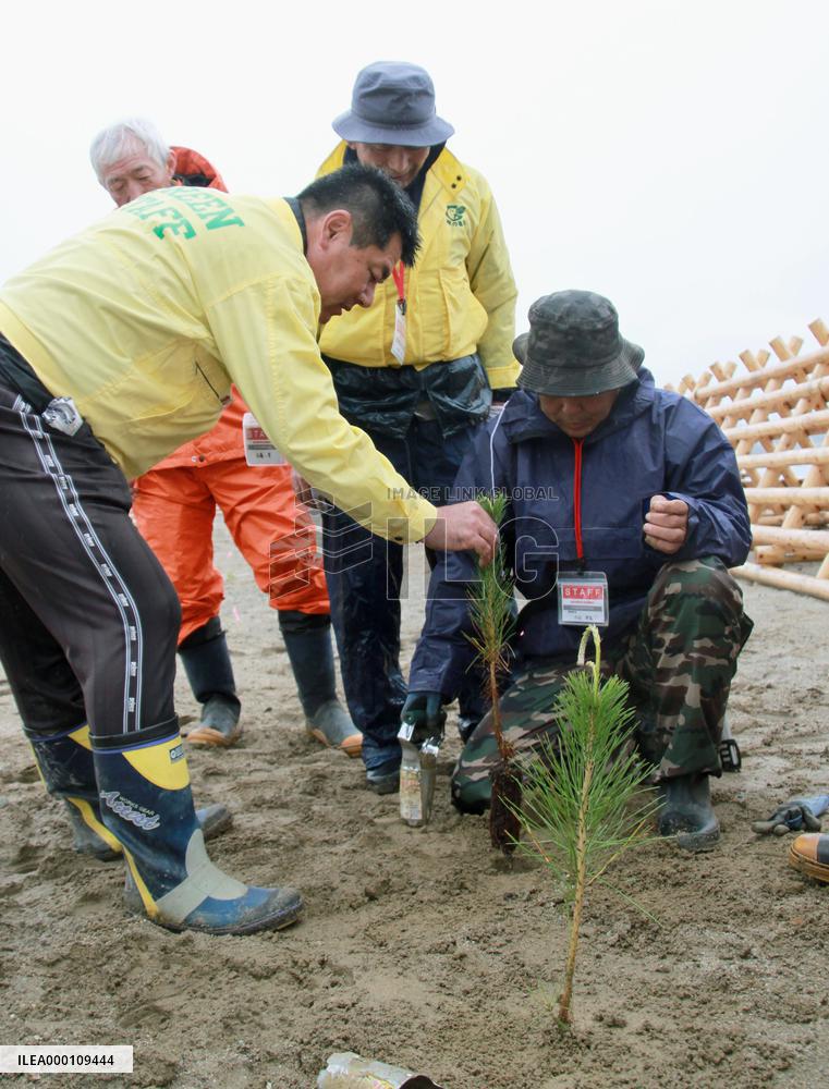 Pine tree replanting project starts in tsunami-hit Rikuzentakata