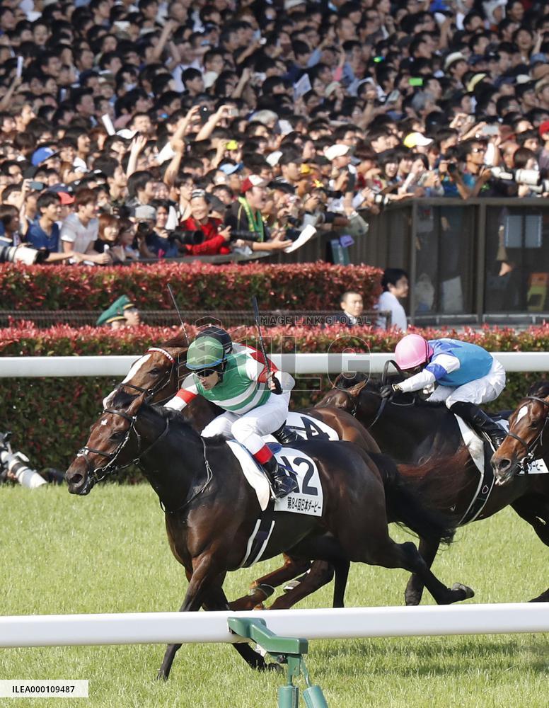 Horse racing: Lemaire, Fujisawa do it again to win Japanese Derby