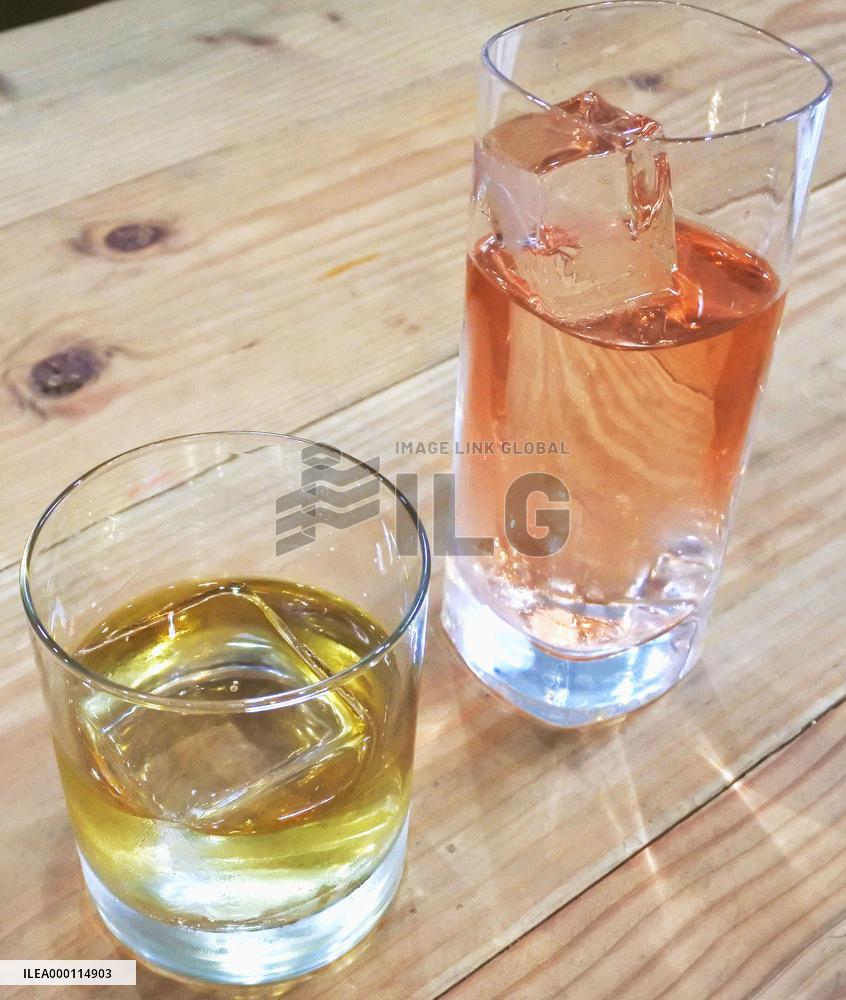 Japanese specialty ice business carves niche in NYC