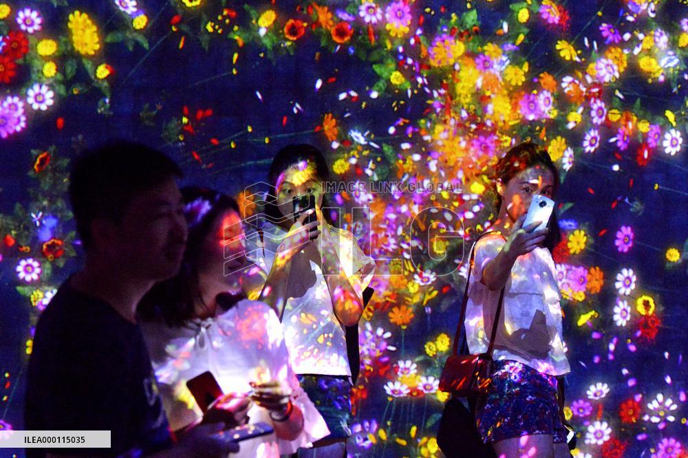 Digital art exposition attracts Chinese people