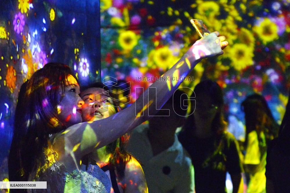 Digital art exposition attracts Chinese people