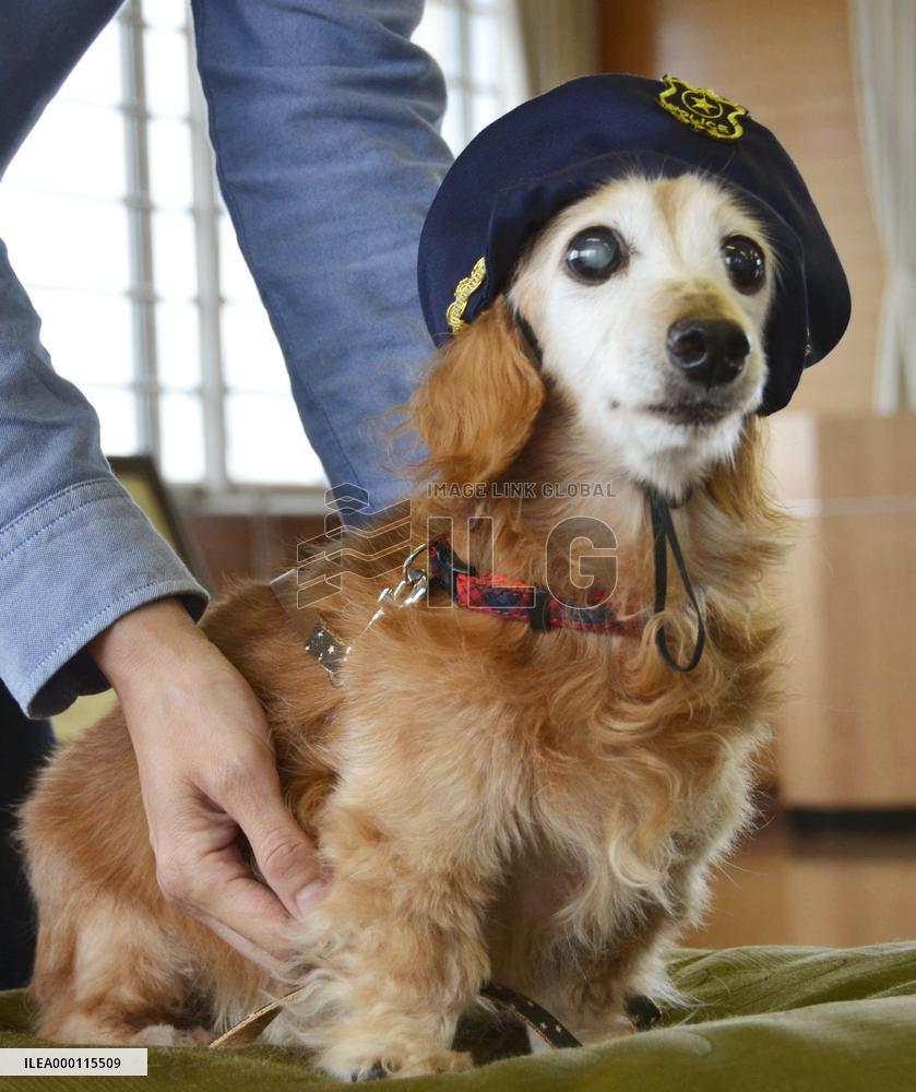 Dog barks to warn of burglar, receives gratitude letter from police