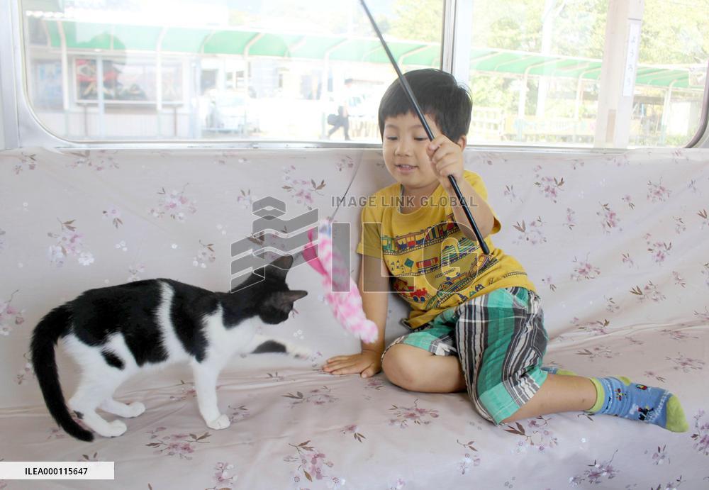 Cat cafe train in Japan