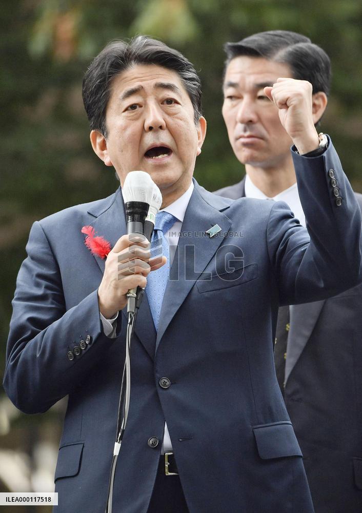 LDP campaign for Japan lower house election