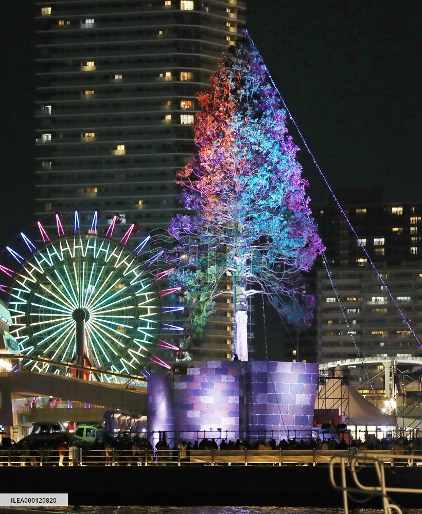 Giant Christmas tree in Kobe