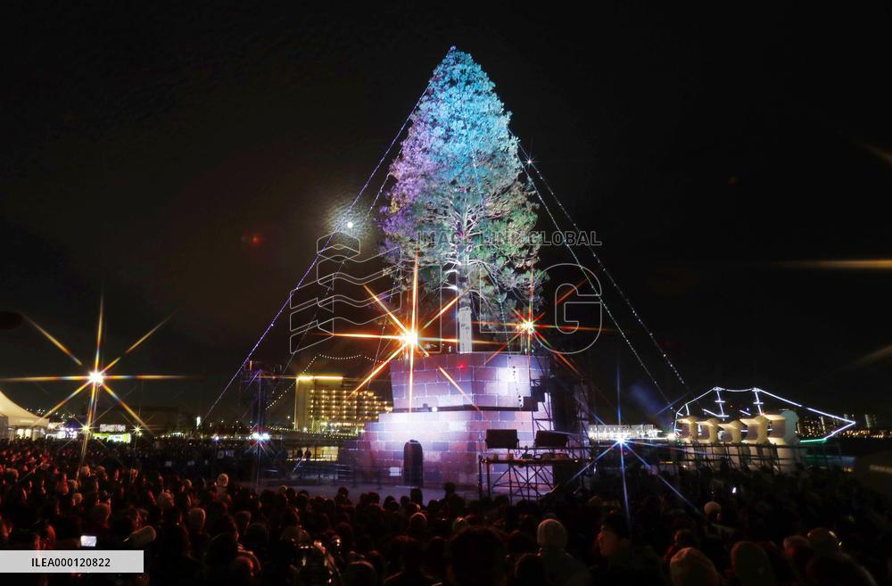 Giant Christmas tree in Kobe