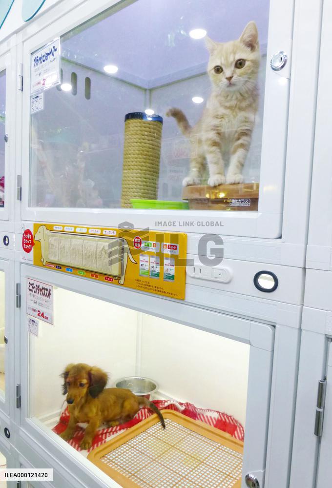 Pet shop in Tokyo