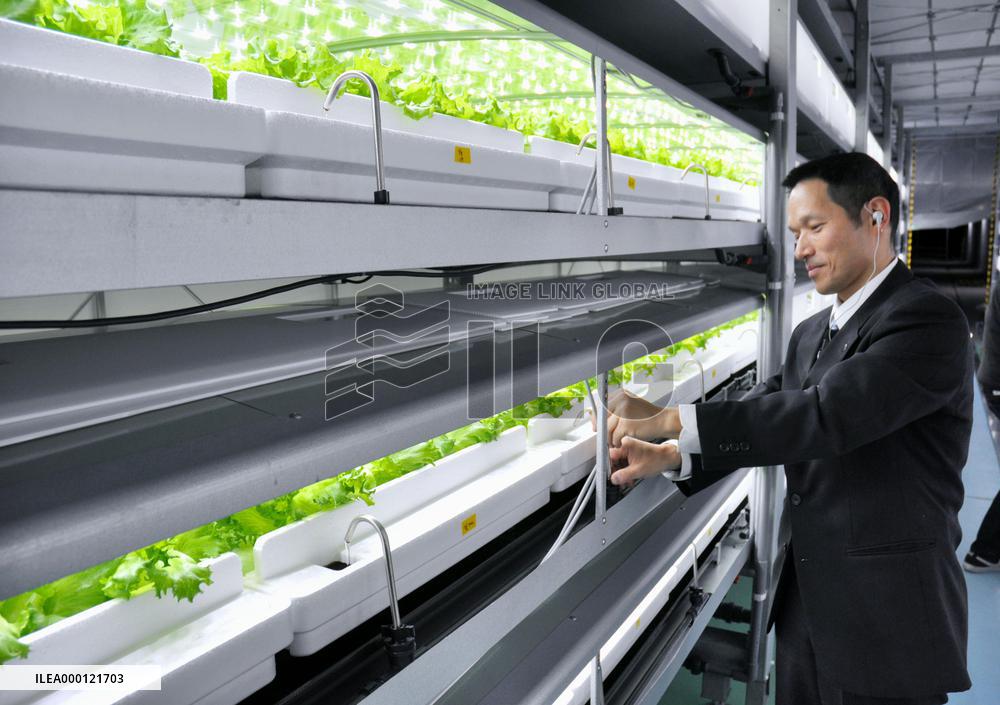 Hydroponic farming