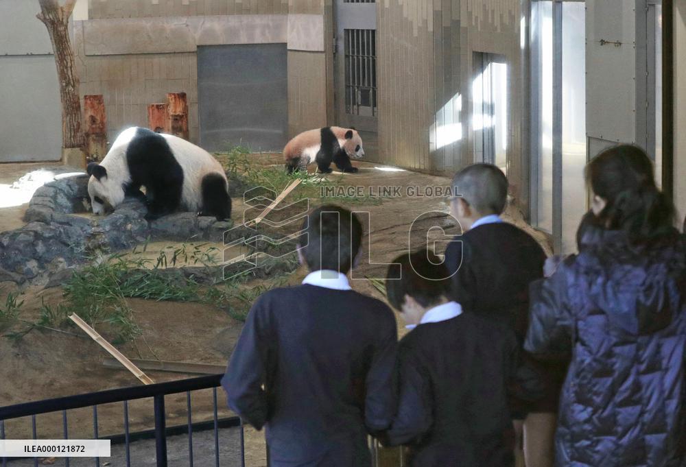 Panda cub Xiang Xiang at Tokyo zoo