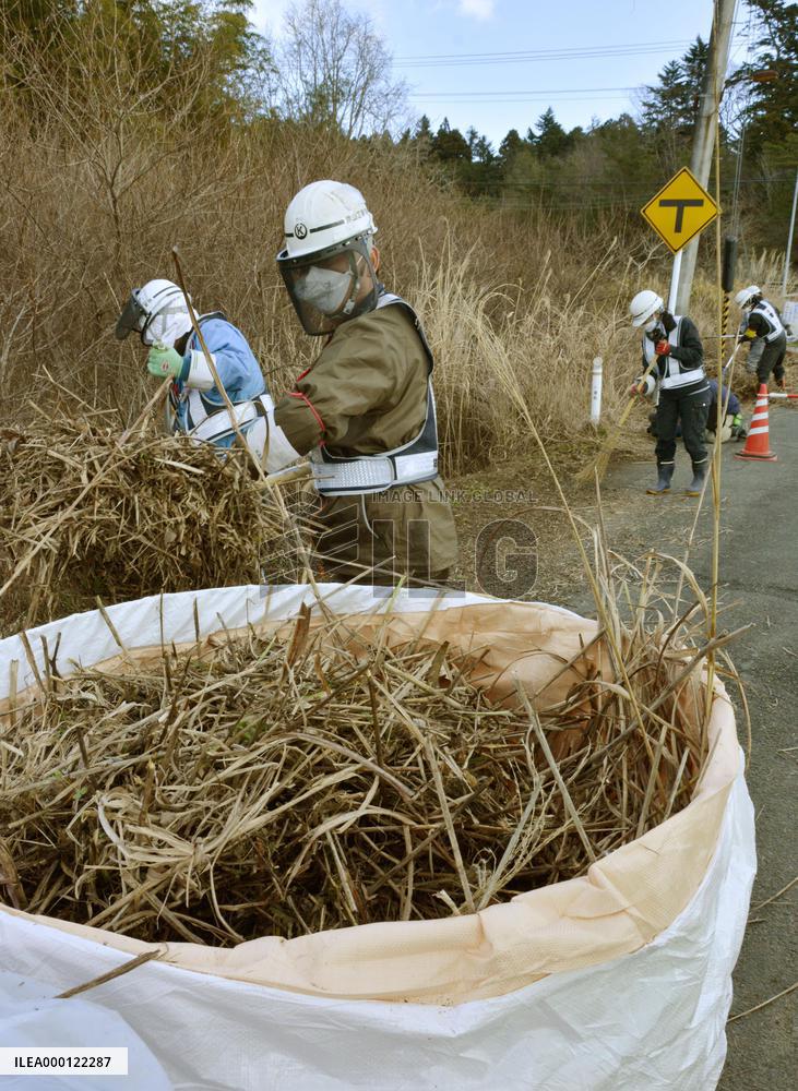 Radiation cleanup work begins in Fukushima nuclear plant town
