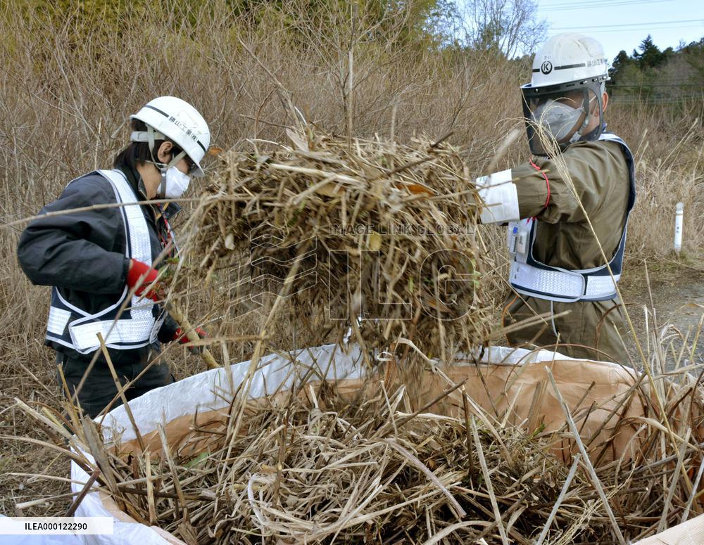 Radiation cleanup work begins in Fukushima nuclear plant town