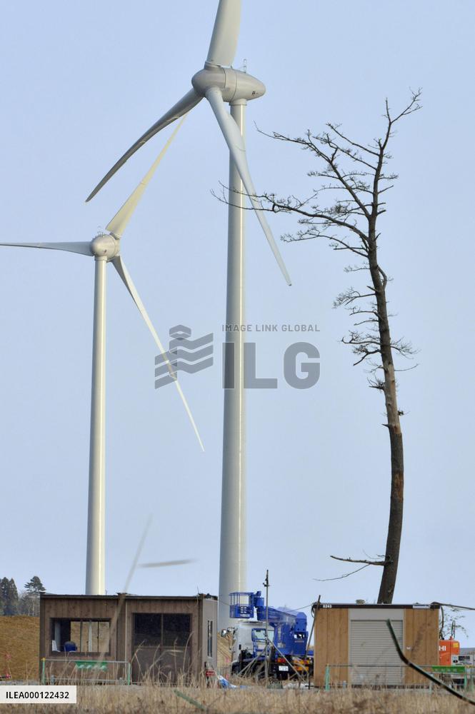 Farewell to pine in Fukushima, symbol of reconstruction