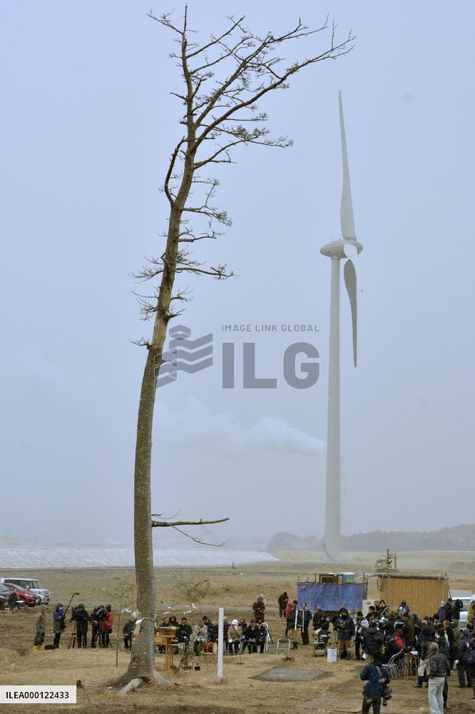 Farewell to pine in Fukushima, symbol of reconstruction