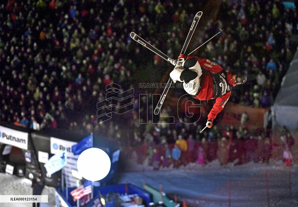 Freestyle skiing World Cup