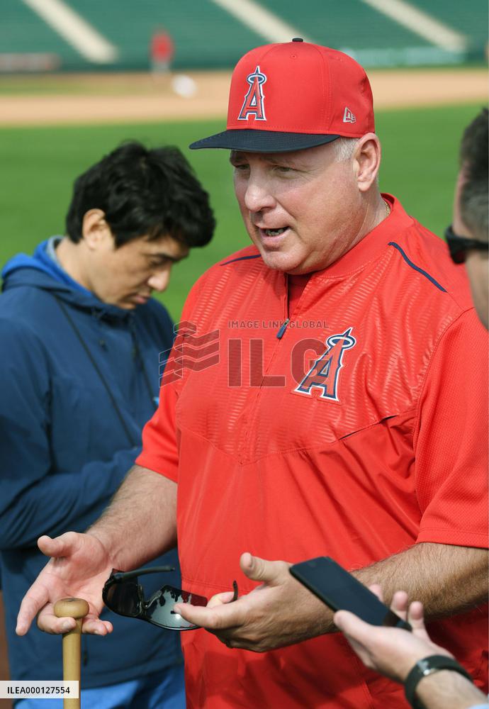 Baseball: Angels spring training