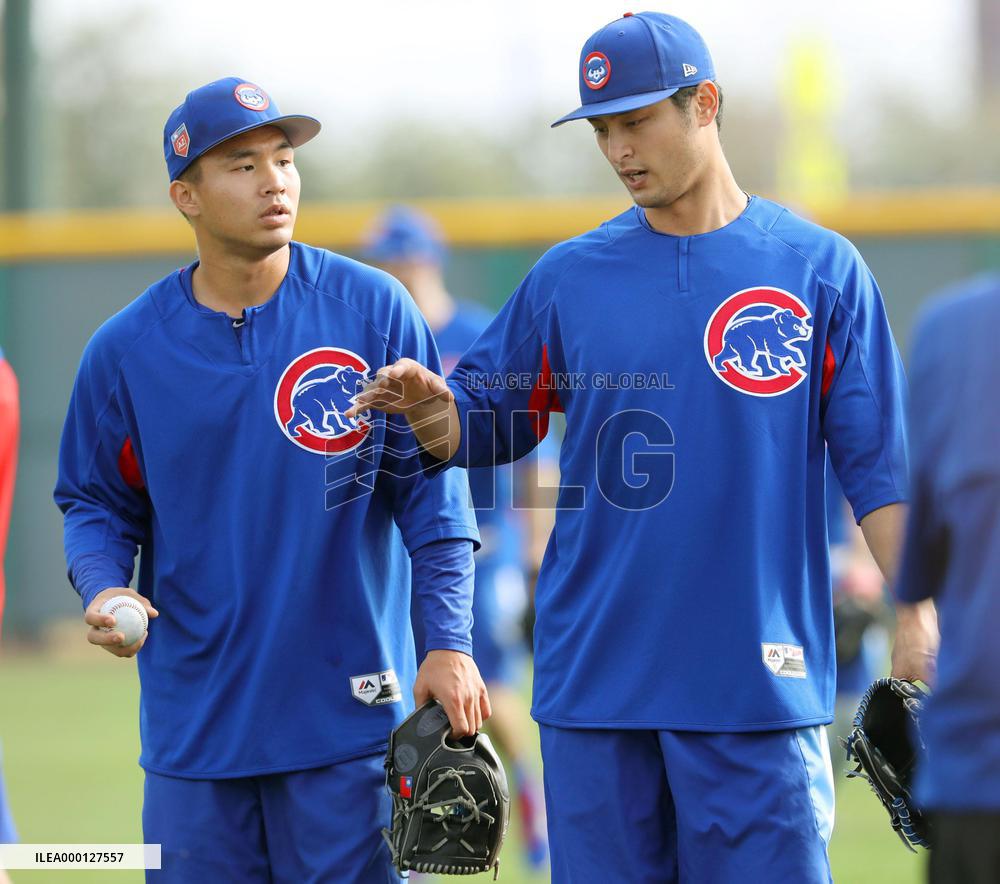 Baseball: Chicago club's spring training