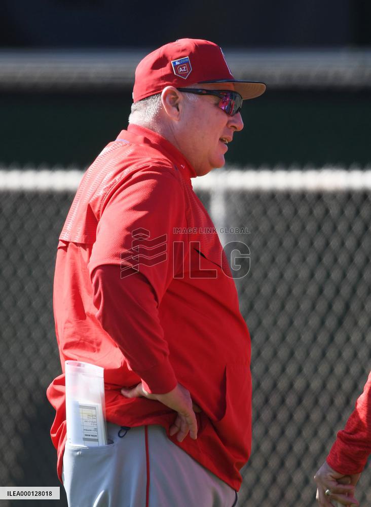 Baseball: Angels manager Scioscia