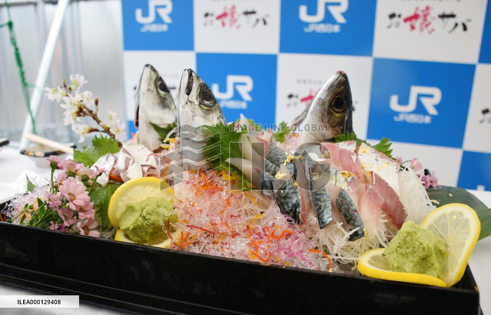 Cultivation of mackerel