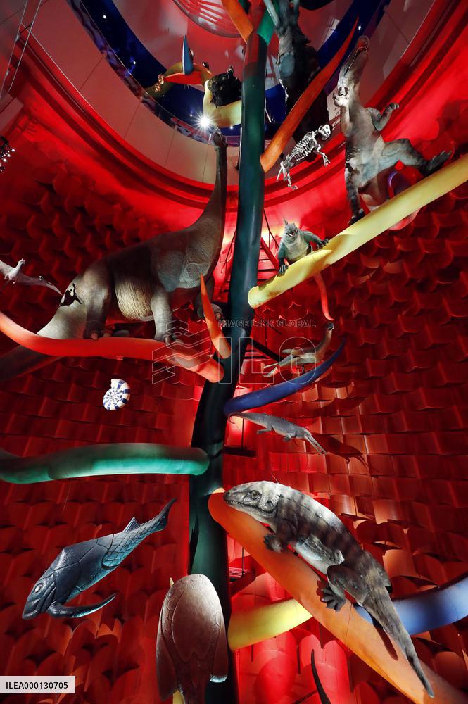 Inside of Tower of the Sun