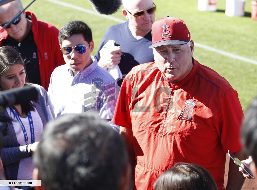 Baseball: Angels manager Mike Scioscia