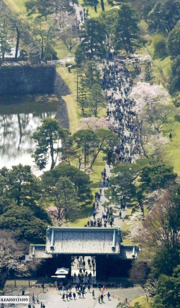 Cherry blossoms at Imperial Palace in Tokyo
