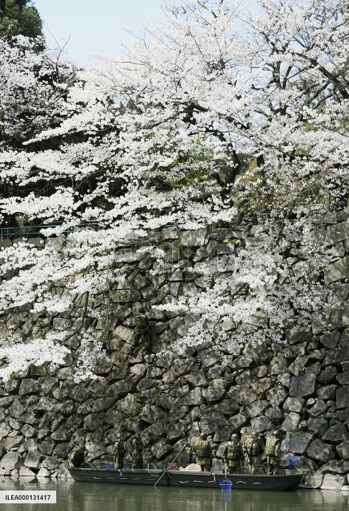 Cleaning of Nagoya Castle