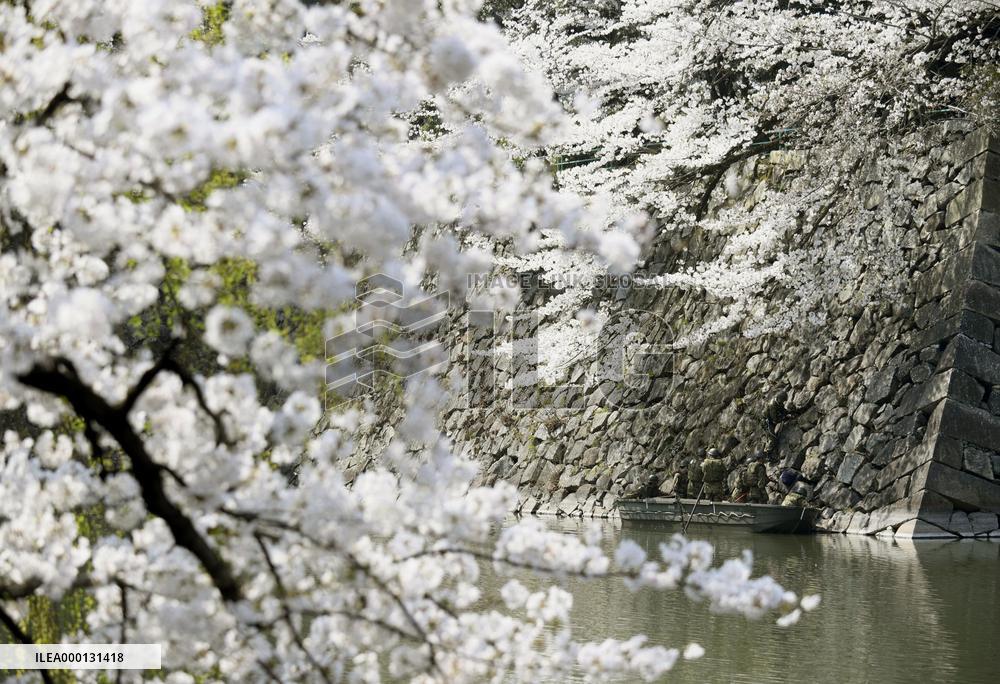 Cleaning of Nagoya Castle