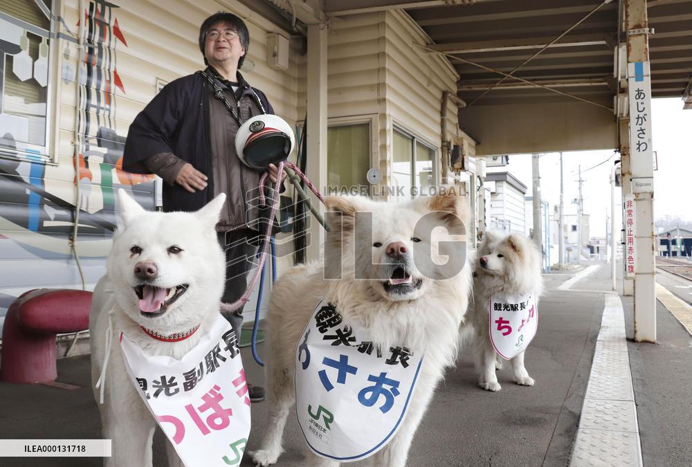 Akita dog Wasao charms passengers