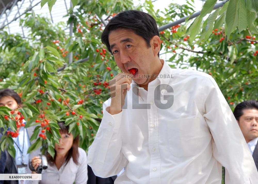 Japan's Prime Minister Shinzo Abe