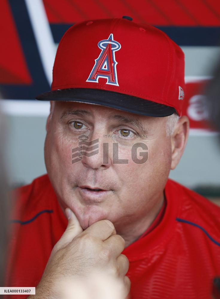Baseball: Angels manager Scioscia