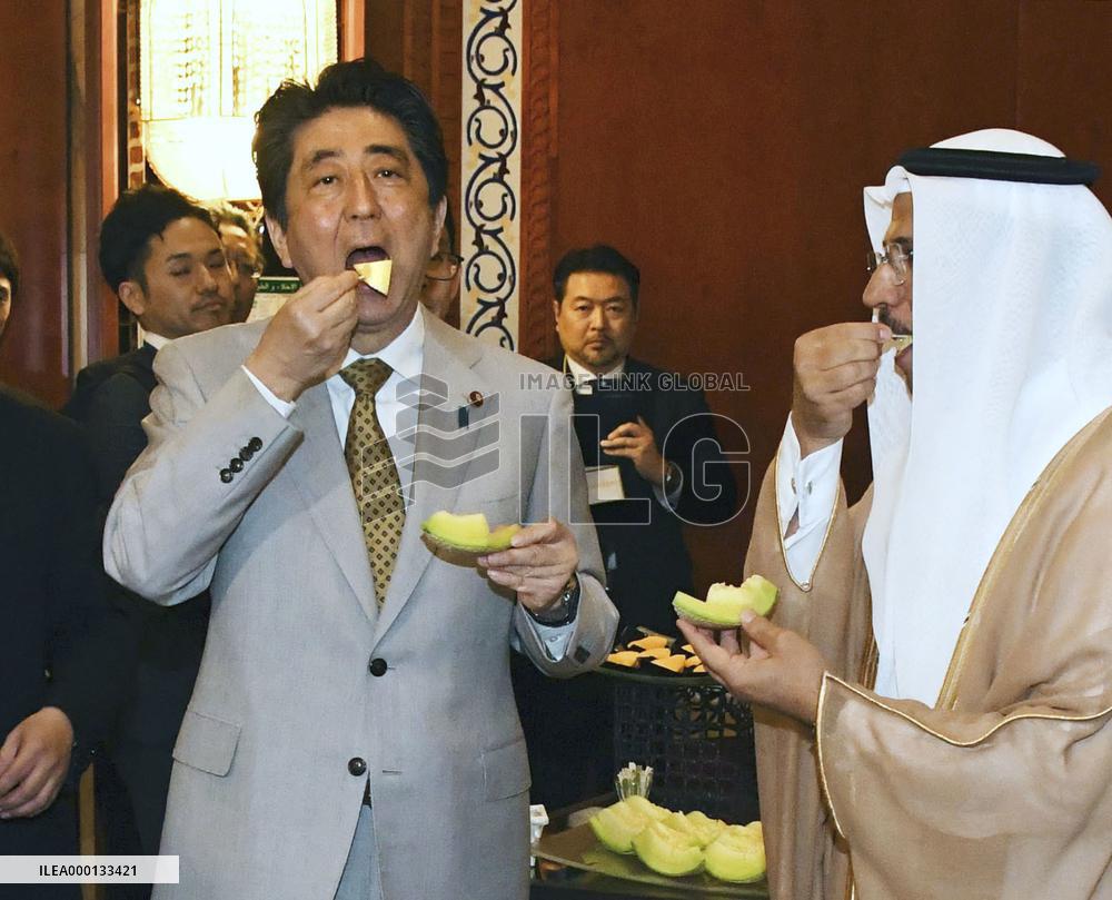 Japanese PM Abe in UAE