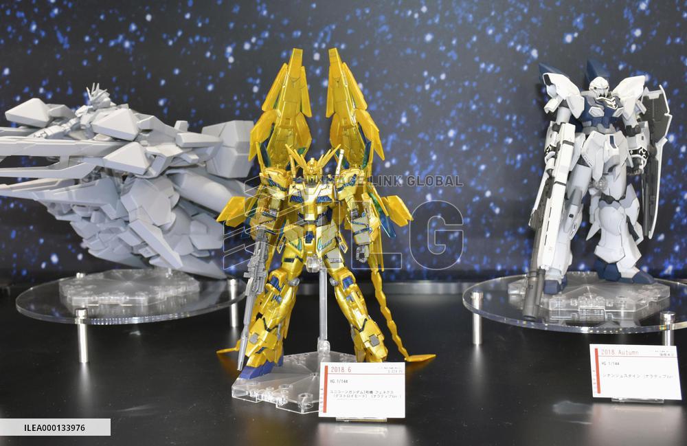 Hobby show in Japan